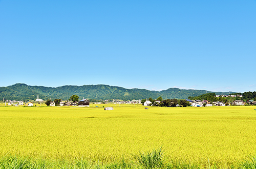 雄大な自然がある三条市